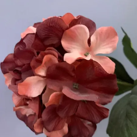 Apartament Toscana 3 Debreţin