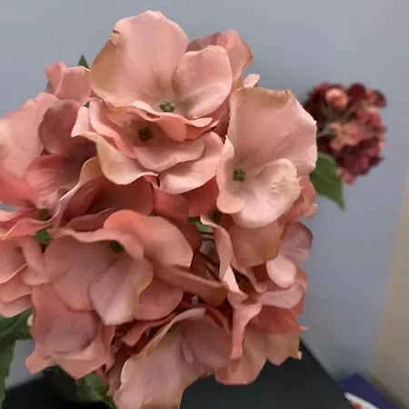 Toscana 3 * Debreţin