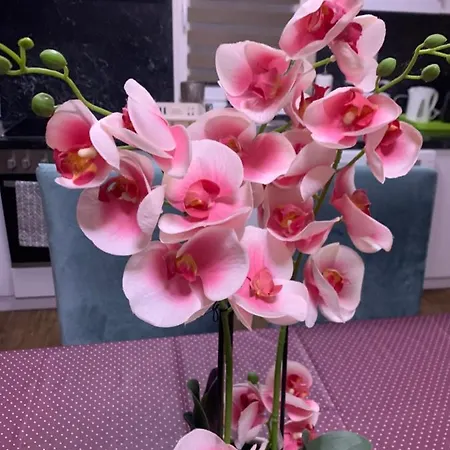 Toscana 3 * 德布勒森